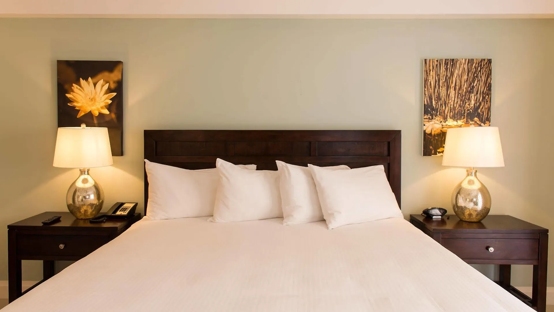 Ocean Terrace Inn Hotel Basseterre